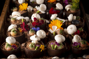 marbella-catering-guide